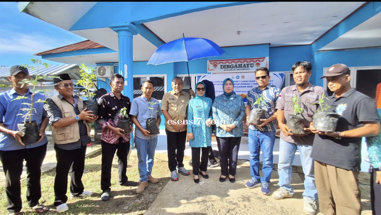 Distapang Sulbar Salurkan Bantuan Bibit Cabai Keriting, Bibit Cabai Rawit dan Bibit Tomat di 4 Kelur