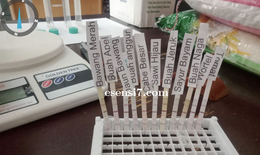 Pengambilan Sampel, Distapang Sulbar: Pangan Segar Di Pasar Tradisional Polman Aman di Konsumsi
