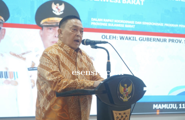 Hadapi Keterbatasan, Wagub Sulbar Minta Daerah Berinovasi dan Perkuat Strategi Turunkan Angka Kemisk